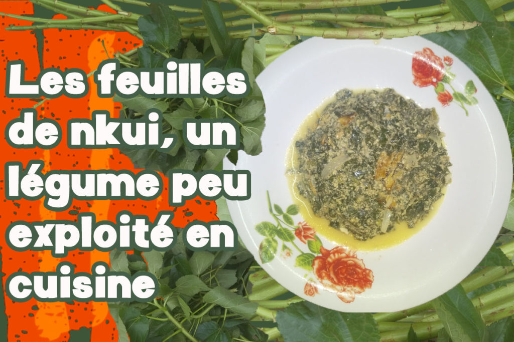 Article : Angels Touching Slot machine game Play for Totally free & No Obtain