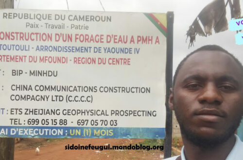 Article : En balade à Toutouli, village de l’arrondissement de Yaoundé IV