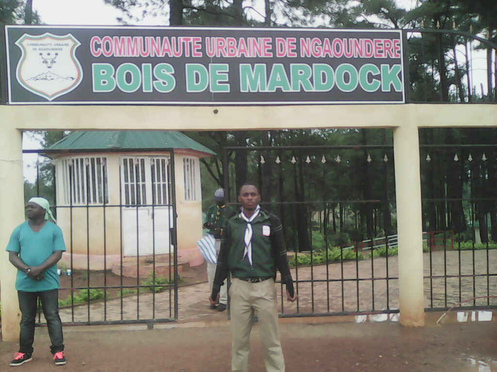 feugui au Bois de Mardock, Ngaoundéré, 2016