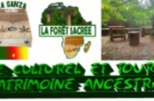 Article : Découverte de La Forêt Sacrée : un espace culturel et touristique unique à Yaoundé