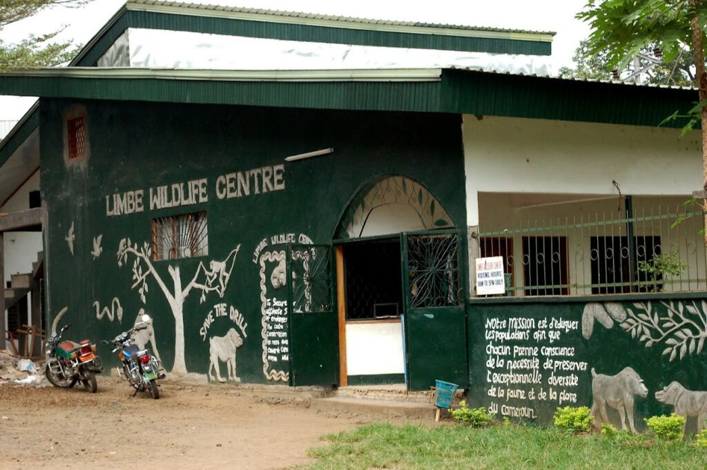 Limbe Wildlife Center - Zoo Limbe. Crédit : Limbe Wildlife Center parcs zoologiques