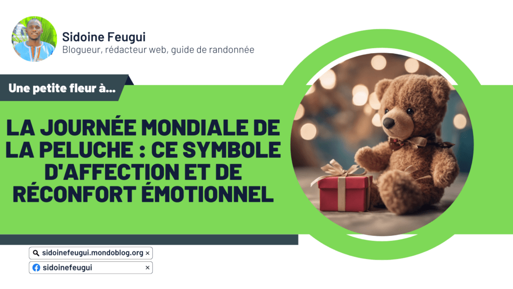 Article : Journée Mondiale de la Peluche : ce symbole d’affection et de réconfort émotionnel