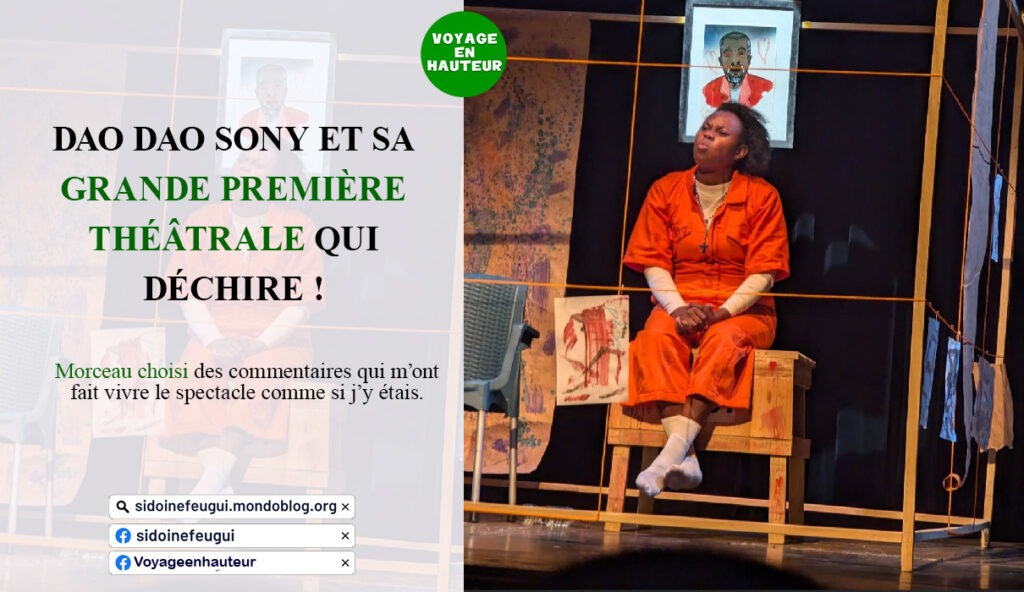 Article : Dao Dao Sony et sa Grande première théâtrale qui déchire !