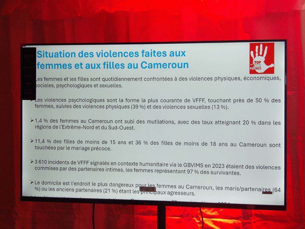 Situation des violences faites aux femmes et aux filles au Cameroun. Une compilation de l'initiative Spotlight Cameroun
