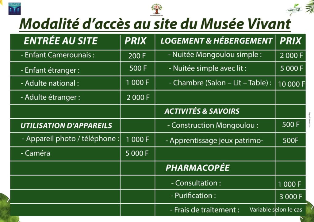 Musée Vivant Baka au village Assok par Mintom - Festival Baka Dream Days 2025