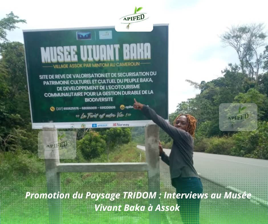 Musée Vivant Baka au village Assok par Mintom