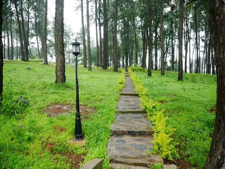 Le paysage verdoyant de Mardock