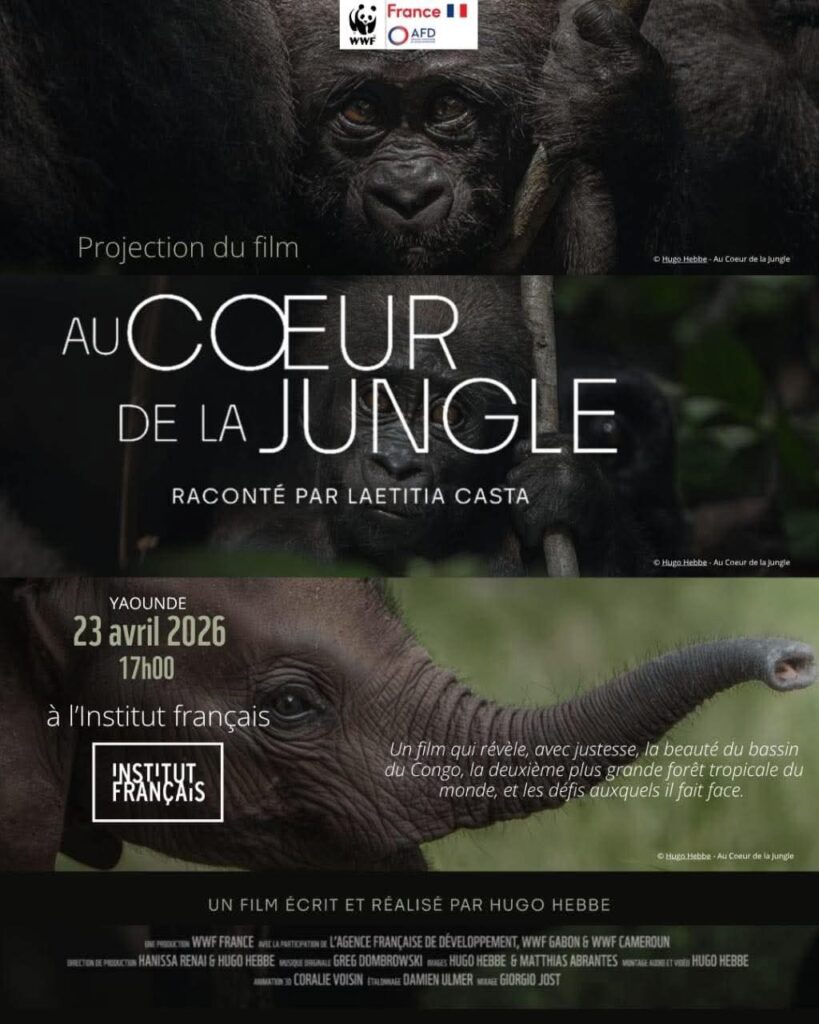 Film documentaire « Au coeur de la jingle ». Crédit : Hugo HEBE